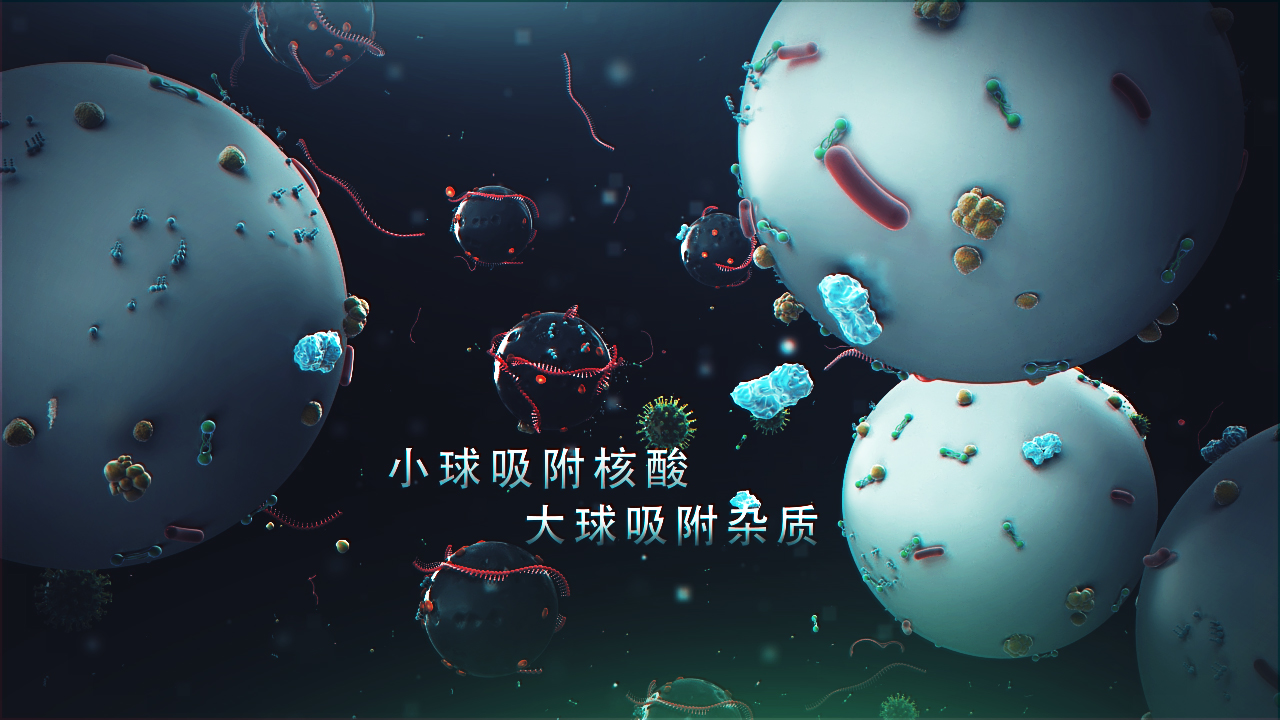 邁維動漫簽約上海速創(chuàng)診斷產(chǎn)品有限公司冠狀病毒檢測醫(yī)學(xué)醫(yī)療三維動畫制作(圖3) 邁維動漫簽約上海速創(chuàng)診斷產(chǎn)品有限公司冠狀病毒檢測醫(yī)學(xué)醫(yī)療三維動畫制作(圖3)