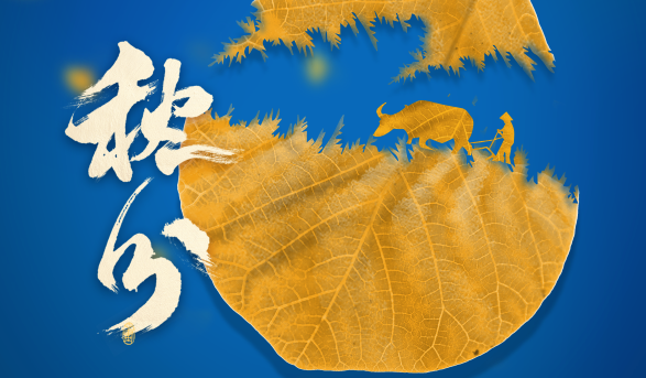 邁維新聞 邁維新聞