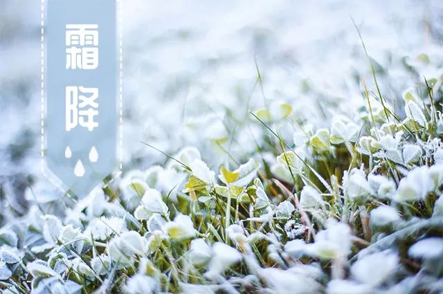 邁維動(dòng)漫公司新聞