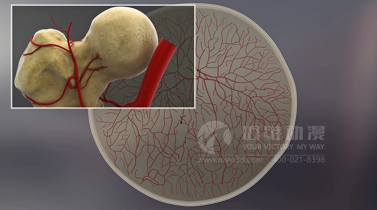 醫(yī)療醫(yī)學(xué)三維動畫.jpg 醫(yī)療醫(yī)學(xué)三維動畫.jpg