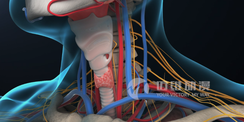 三維動畫給醫(yī)學(xué)領(lǐng)域帶來哪些便利？(圖1)