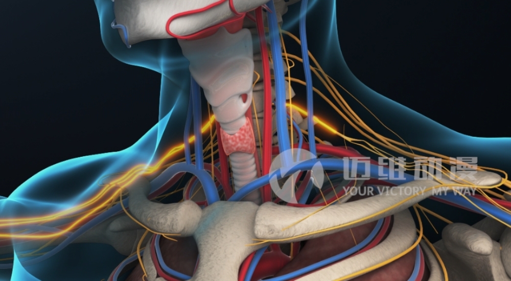 火爆出圈的“三維動(dòng)畫”，能為醫(yī)學(xué)行業(yè)發(fā)展帶來哪些機(jī)遇？(圖3)