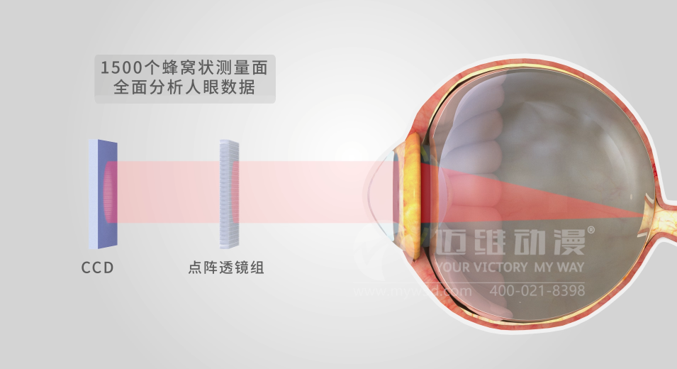 三維動(dòng)畫(huà)設(shè)計(jì)制作的重要步驟有哪些?(圖4)