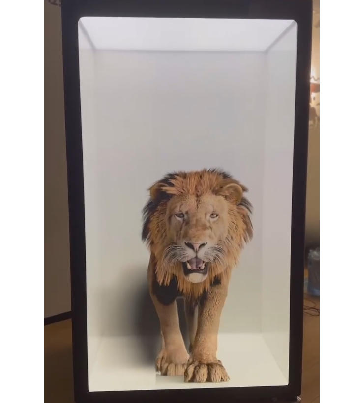 吸睛的3D全息投影帶來全新的視聽盛宴，這些應(yīng)用領(lǐng)域早知道！(圖1)