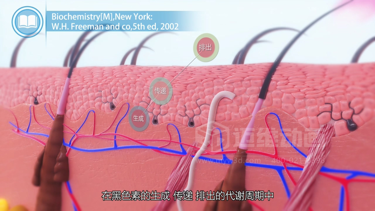 醫(yī)學(xué)科普從來(lái)不是 “天書(shū)”：三維動(dòng)畫(huà)讓復(fù)雜科學(xué)原理輕松 get！(圖4)