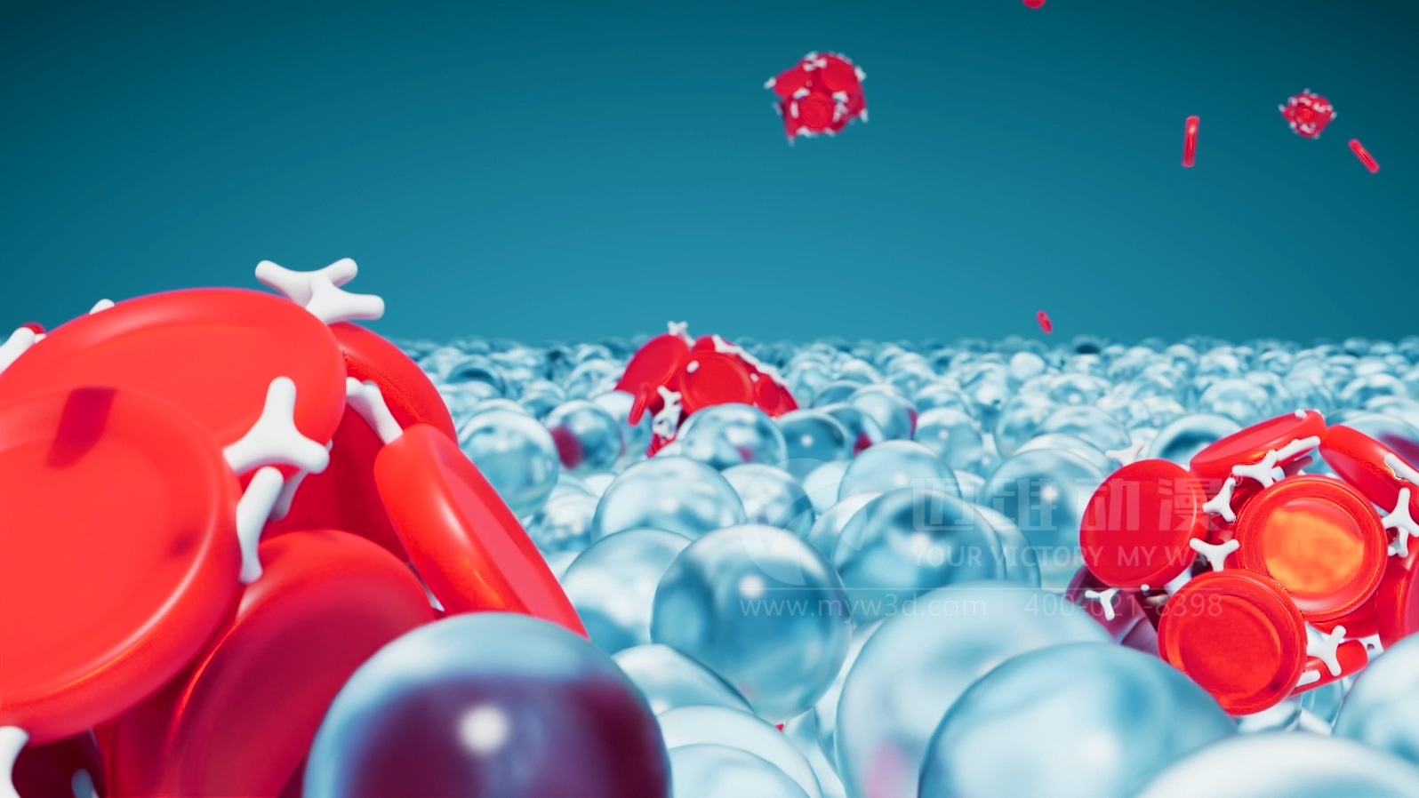 全自動(dòng)血型分析儀產(chǎn)品三維動(dòng)畫(huà)(圖3)