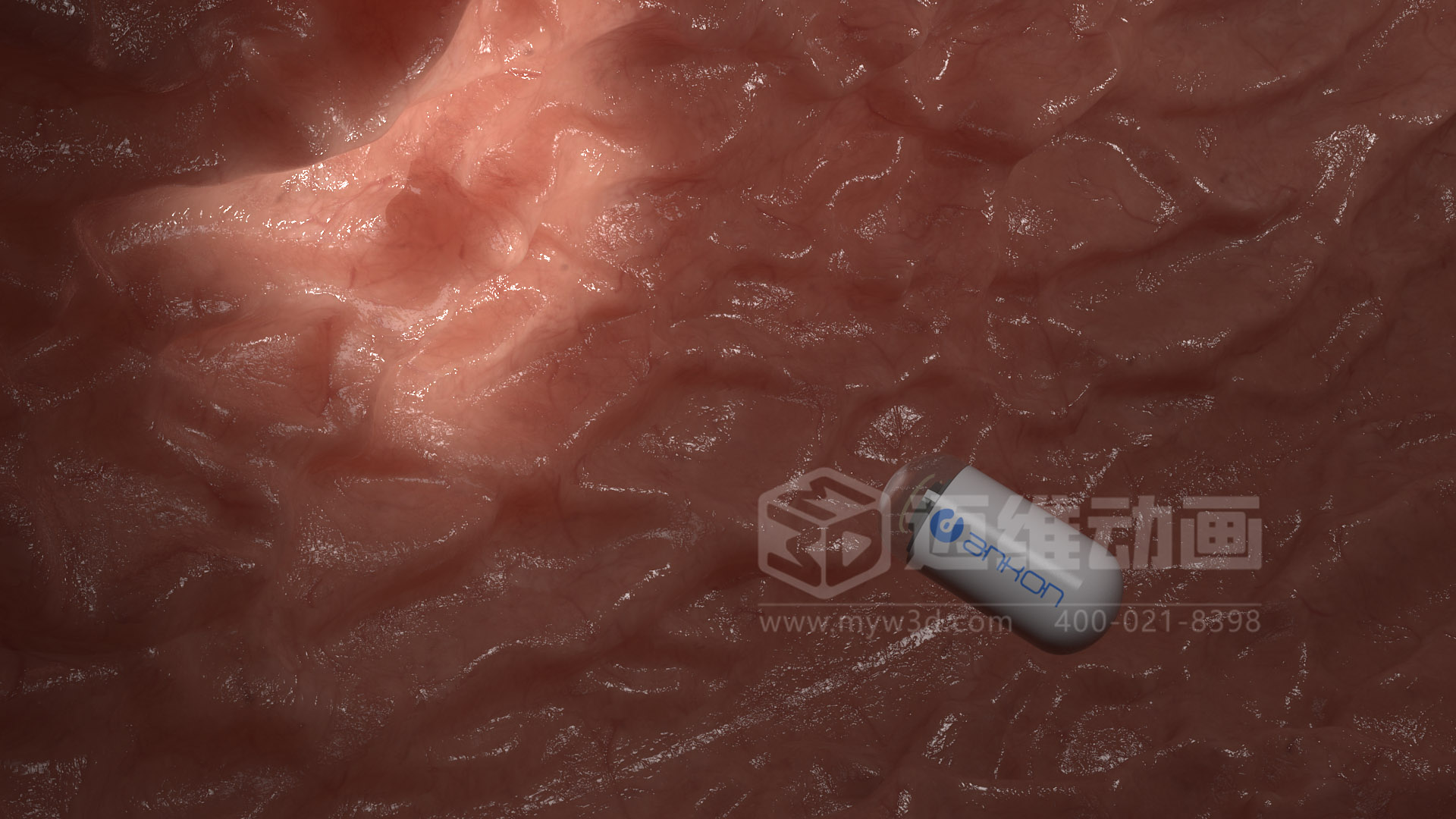 磁控膠囊機器人三維動畫(圖6)