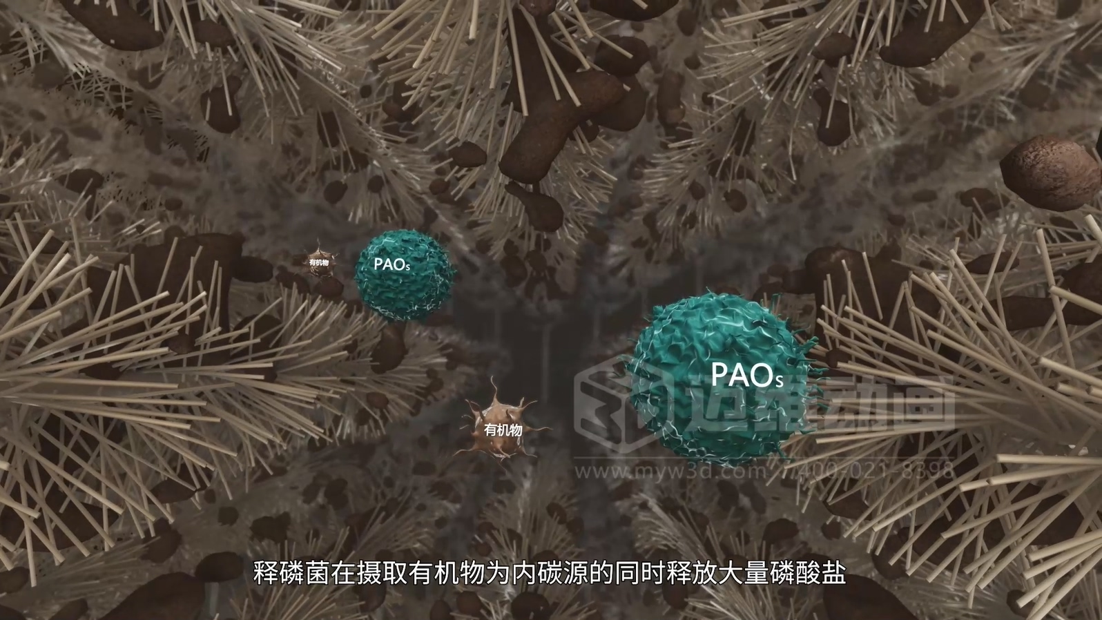 驚爆！三維動畫全方位展示鄉(xiāng)鎮(zhèn)污水一體化處理工藝，環(huán)保企業(yè)機遇來襲(圖4)