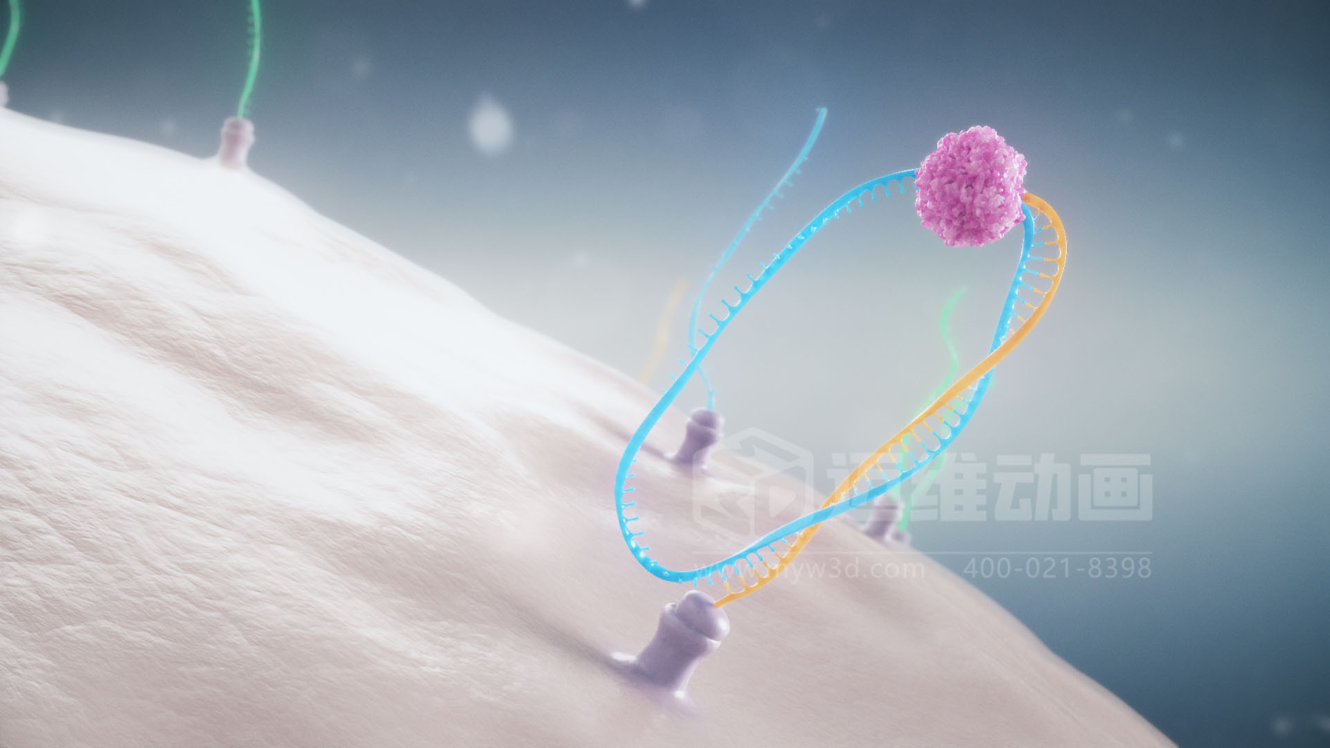 醫(yī)療分子生物學(xué)三維動畫(圖3)