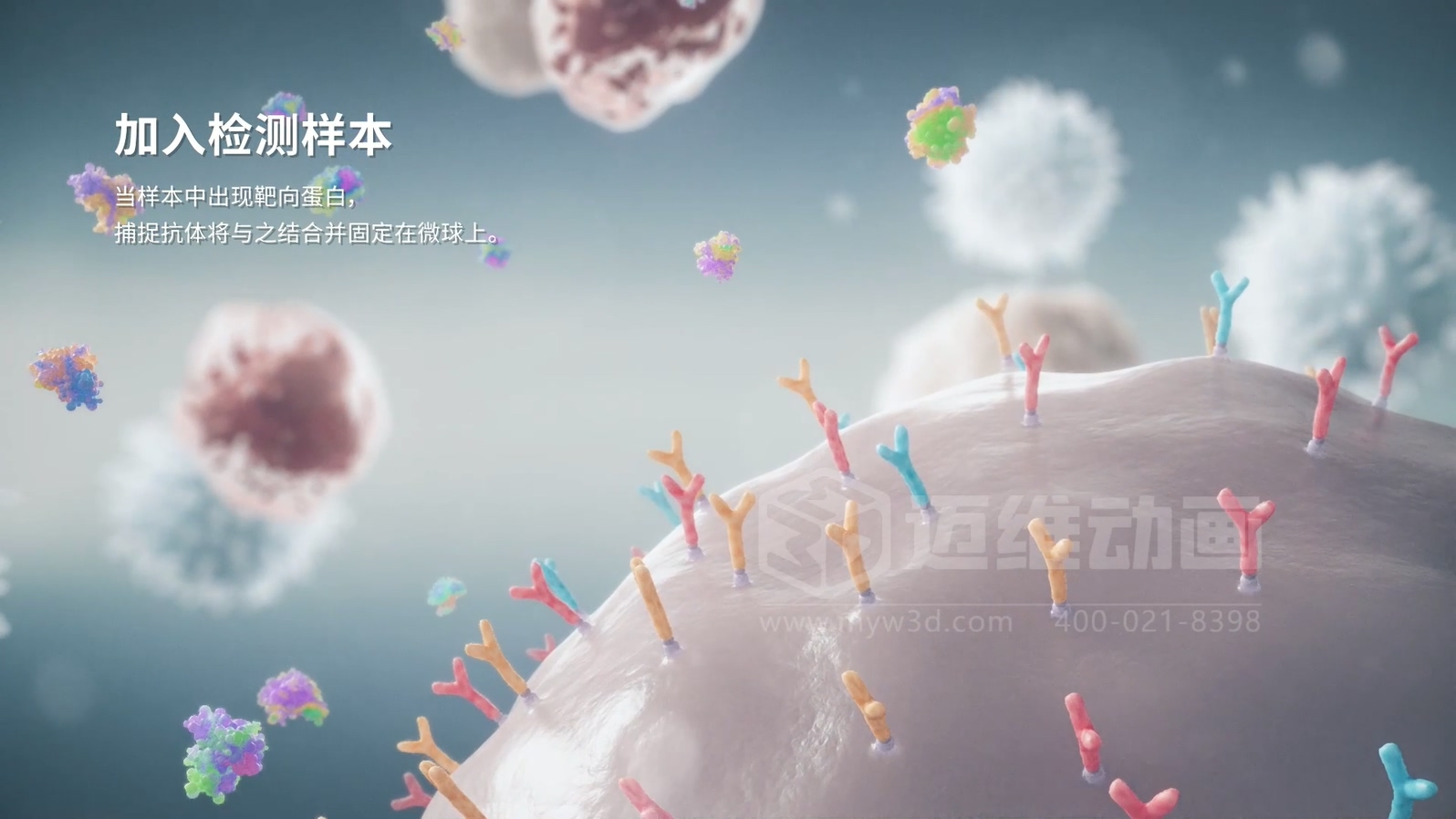 微觀世界竟能“動(dòng)”起來(lái)？生物科技三維動(dòng)畫(huà)帶你沉浸式探索生命奧秘(圖2)