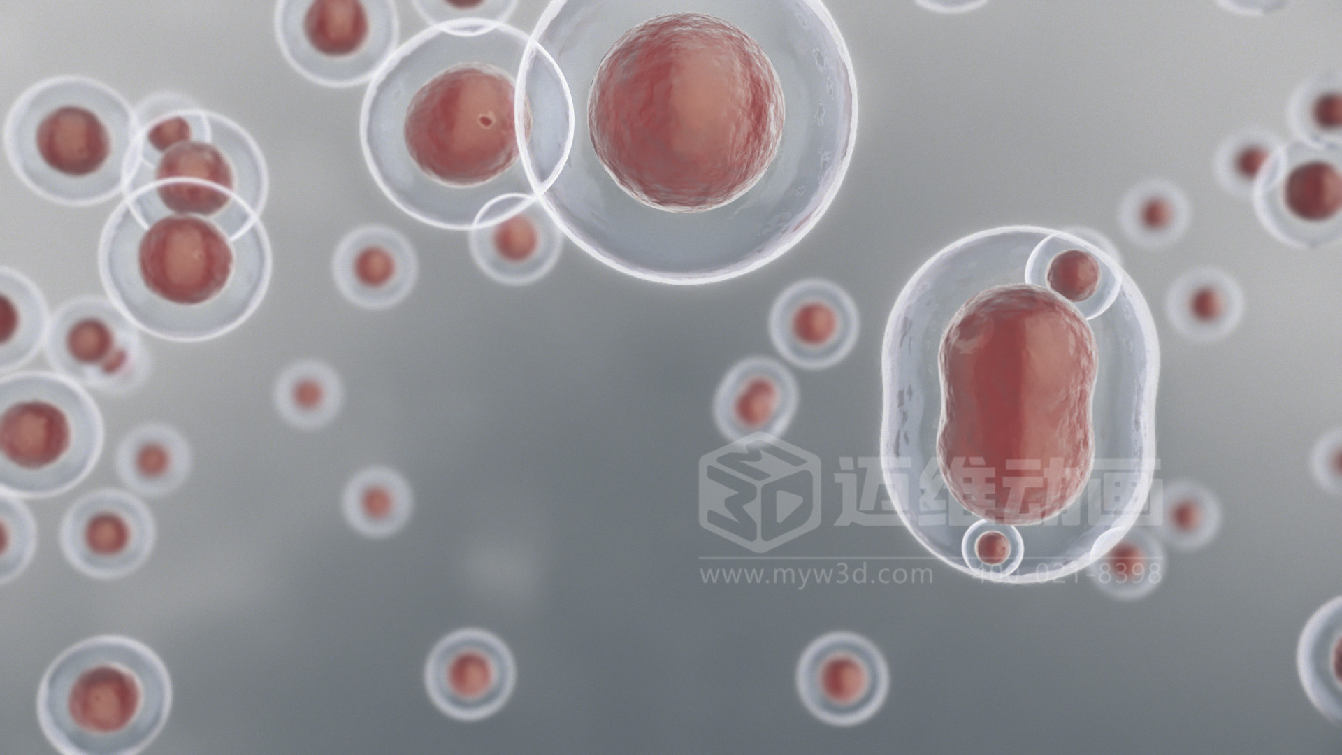 技術(shù)太復(fù)雜，講不明白？用 3D 動(dòng)畫(huà)為您的生物科技產(chǎn)品打造 “視覺(jué)說(shuō)明書(shū)”(圖3)